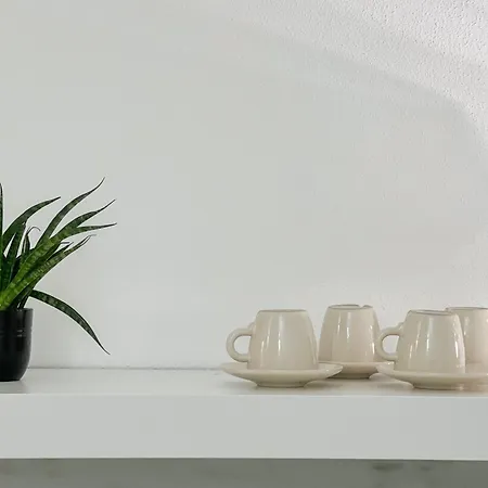 Alatea Valverde 베로나